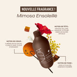 Dark Chocolate (French)