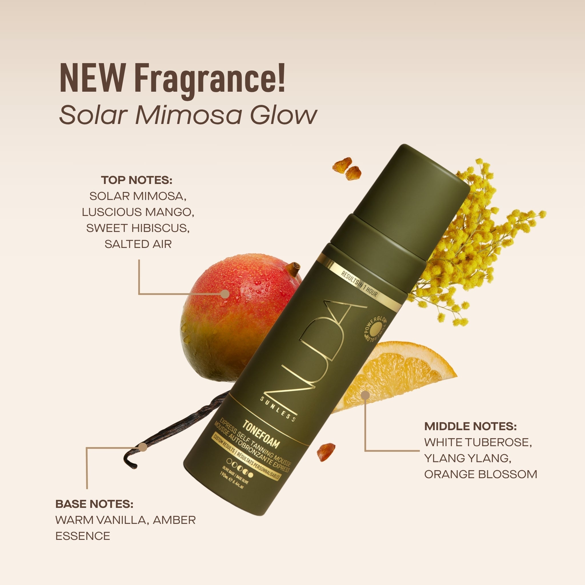 ToneFoam Olive Fragrance (English)