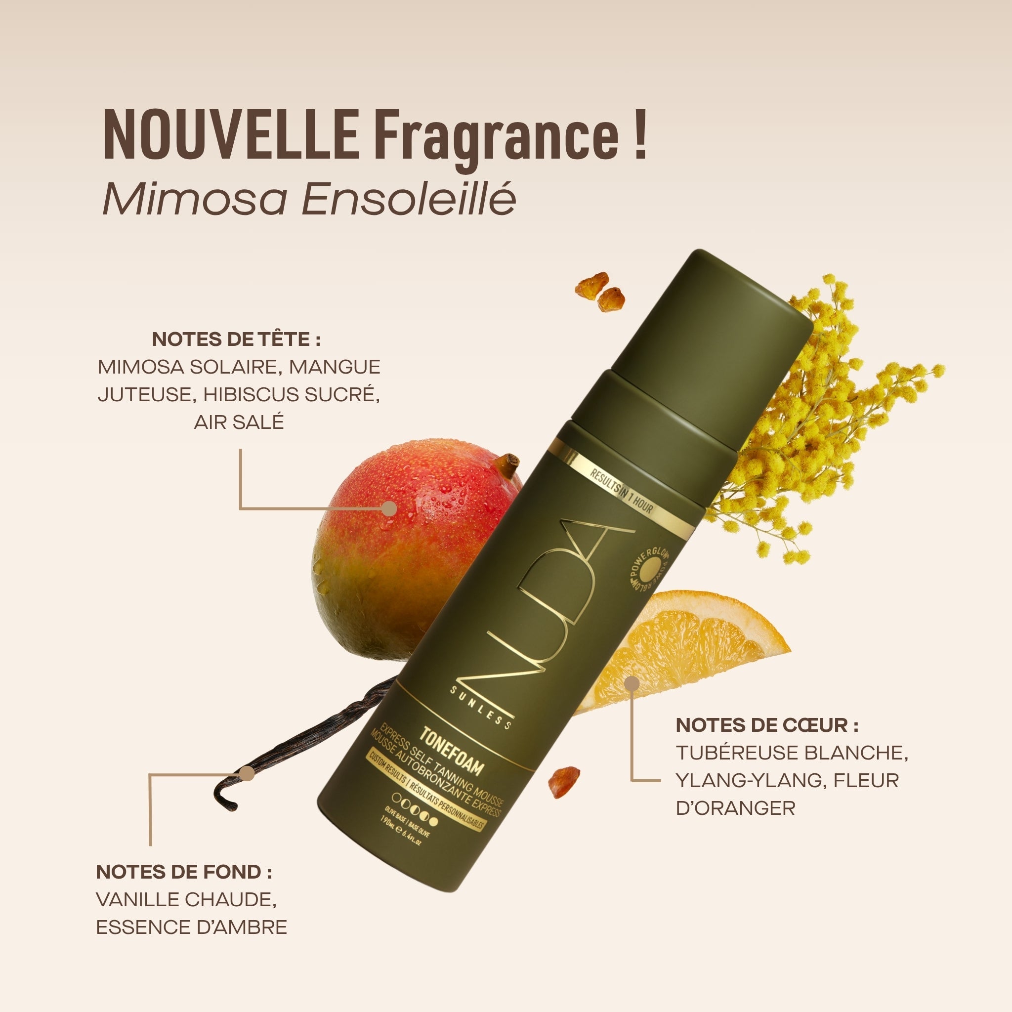 ToneFoam Olive Fragrance (French)