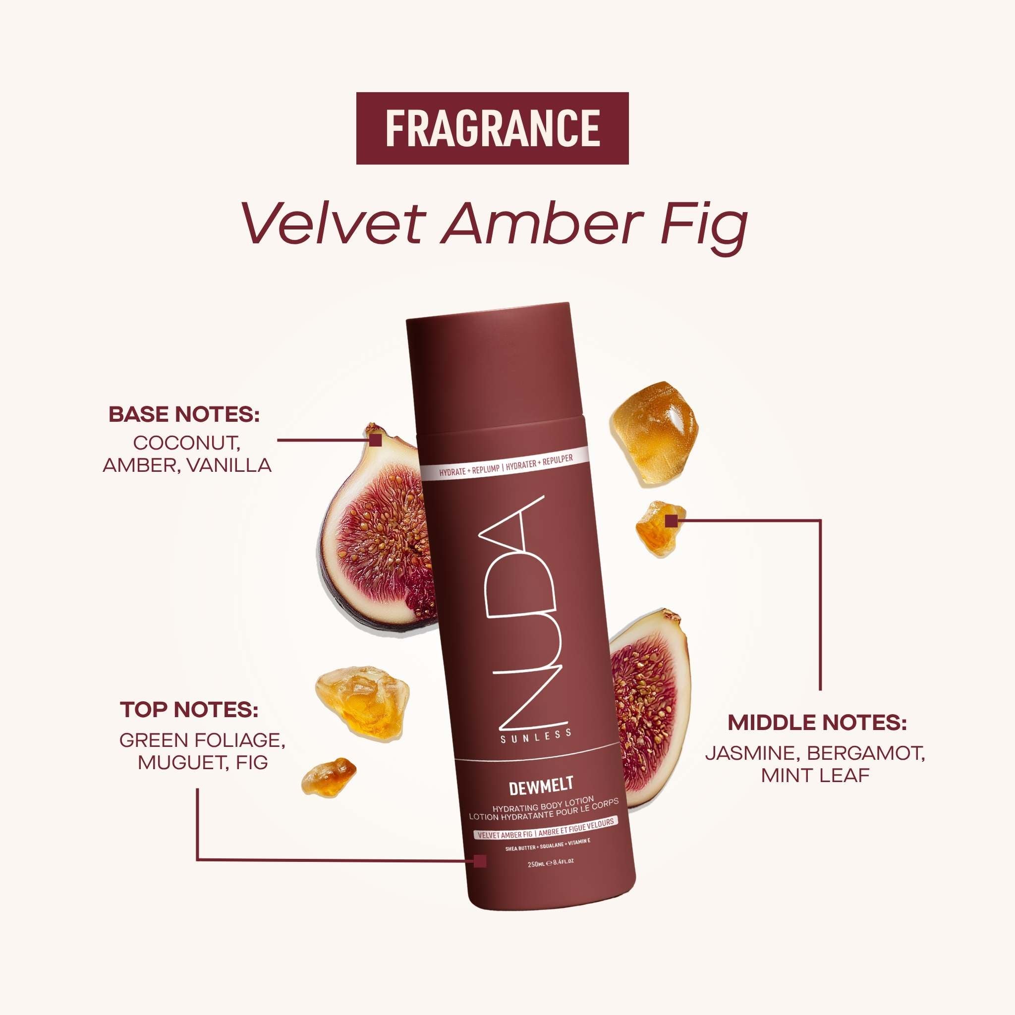 DewMelt Fragrance (English)