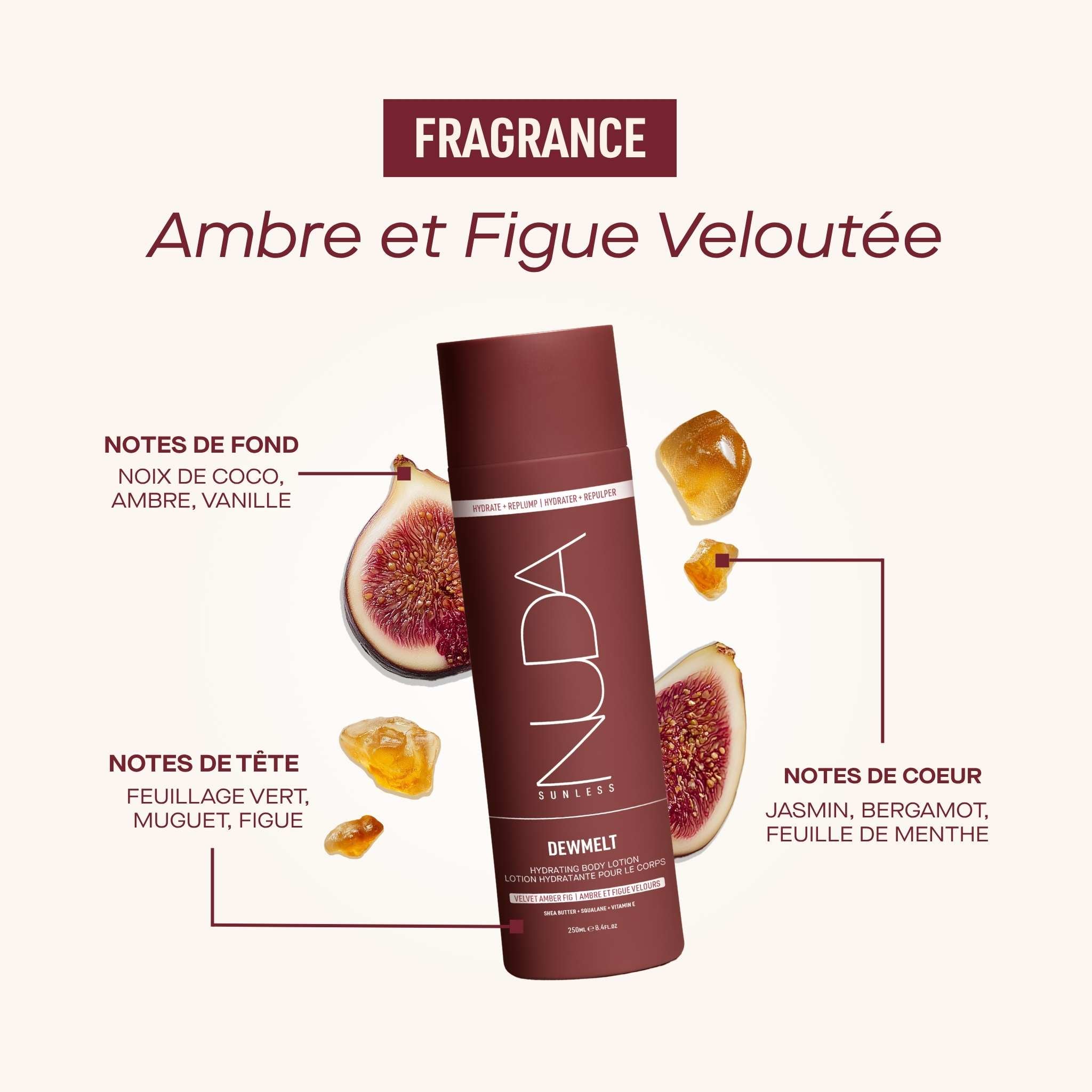 DewMelt Fragrance (French)