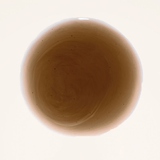 Nuda Solution Espresso Spray Tan 1